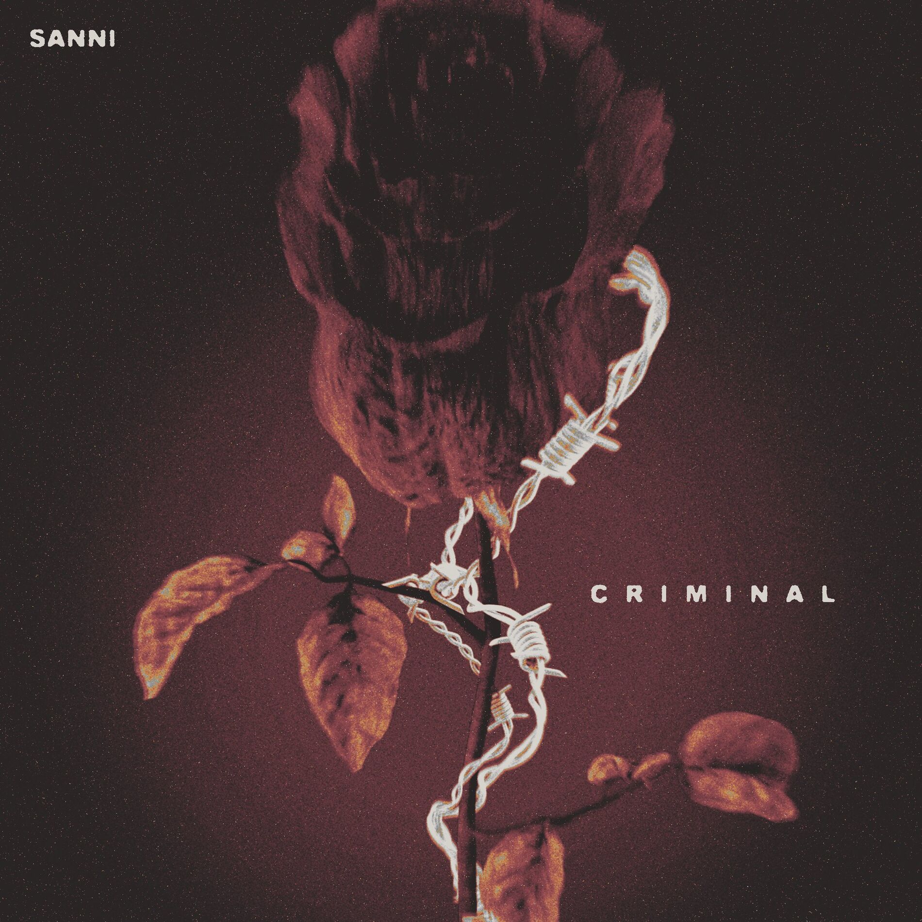 Album cover of CRIMINAL