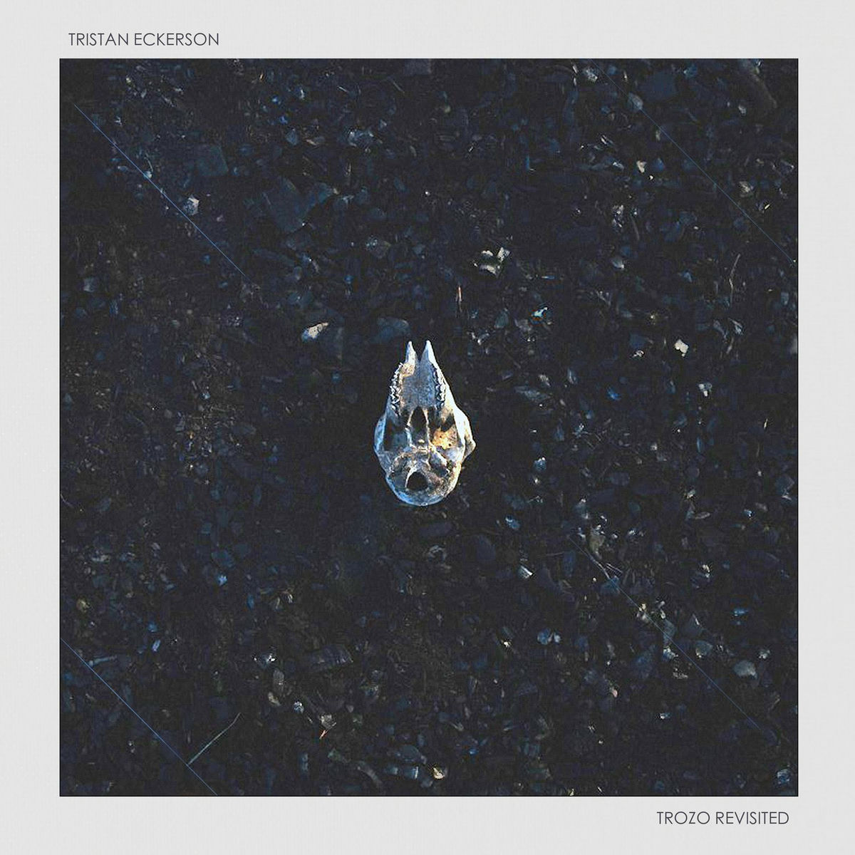 Album cover of In Ordina