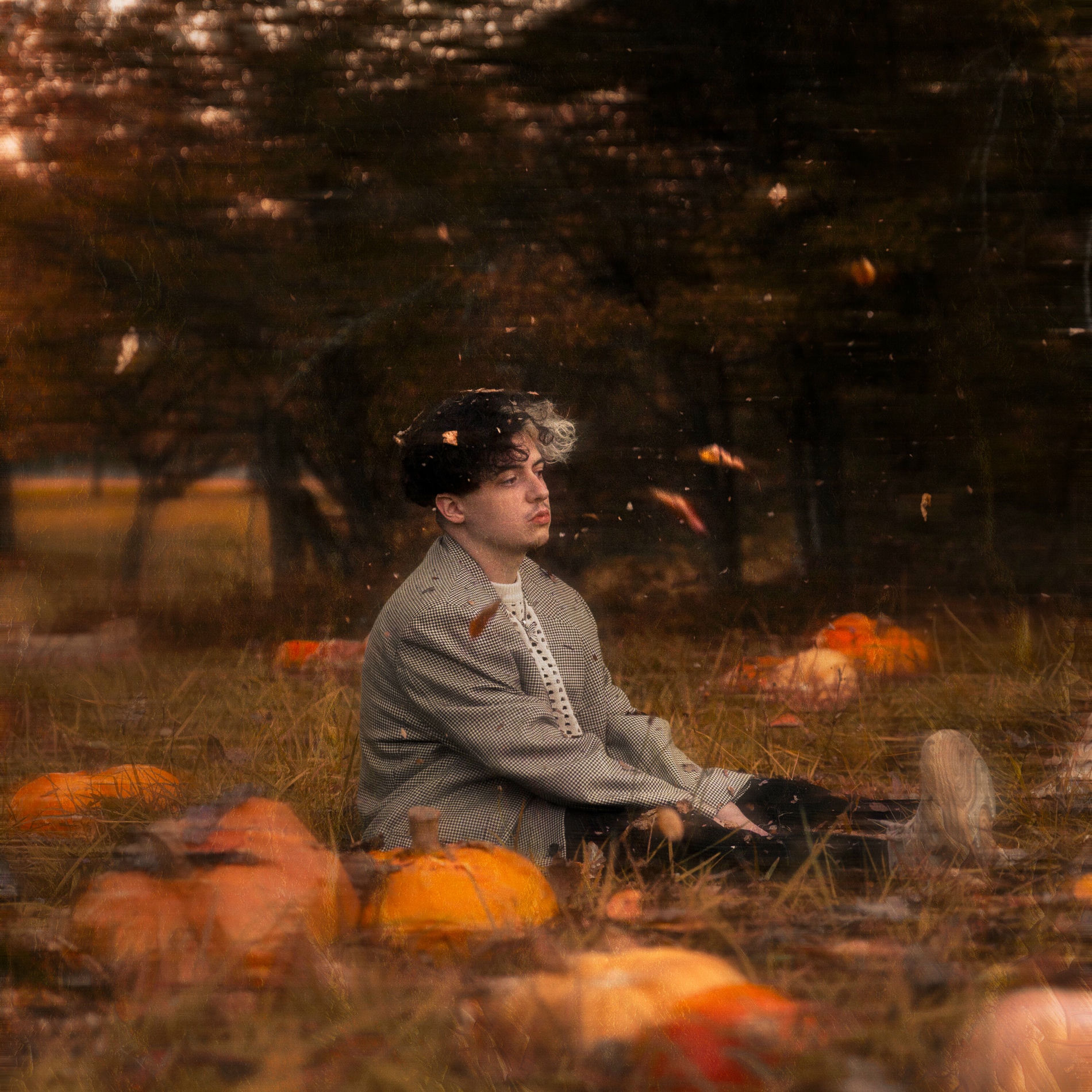 Album cover of Réveille-moi en automne