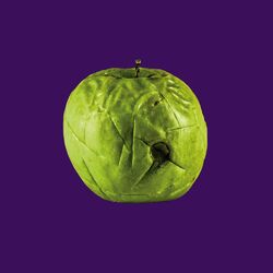Cover of Gravedigger's Chant