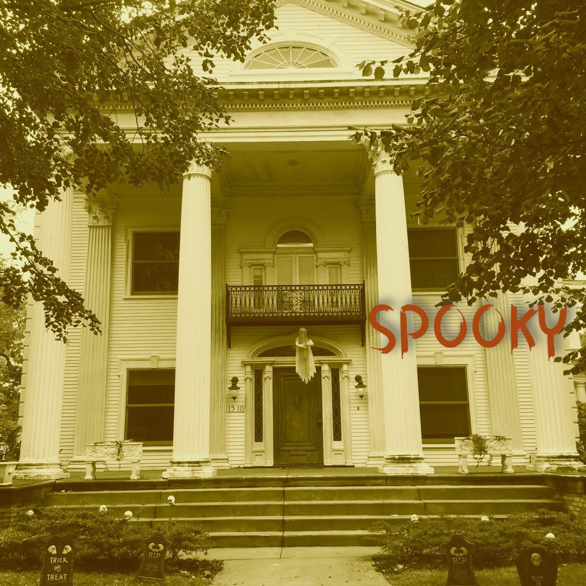 Album cover of Spooky