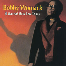 Cover of (I Wanna) Make Love To You
