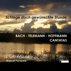 Cover of Schlage doch, gewünschte Stunde
