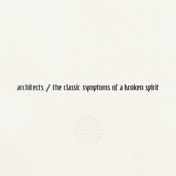 Cover of the classic symptoms of a broken spirit