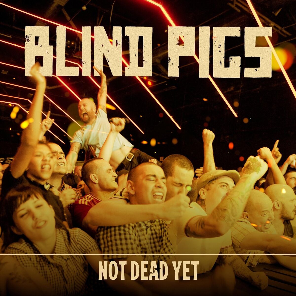 Album cover of Not Dead Yet