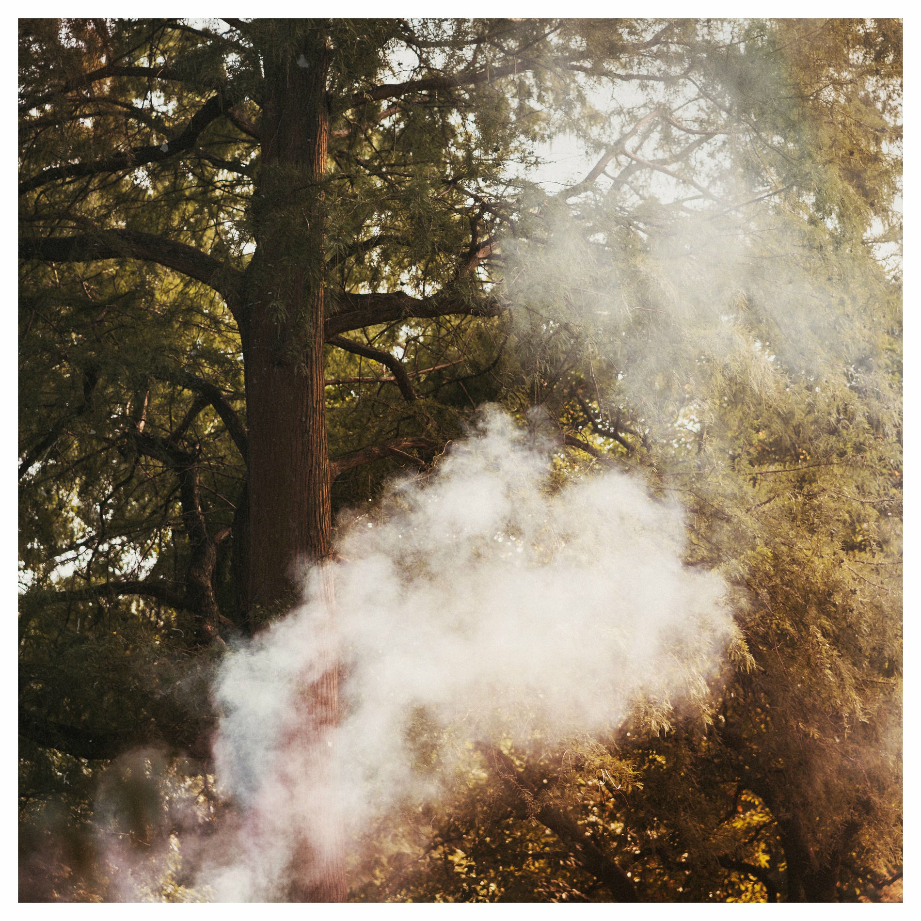 Album cover of Be Home