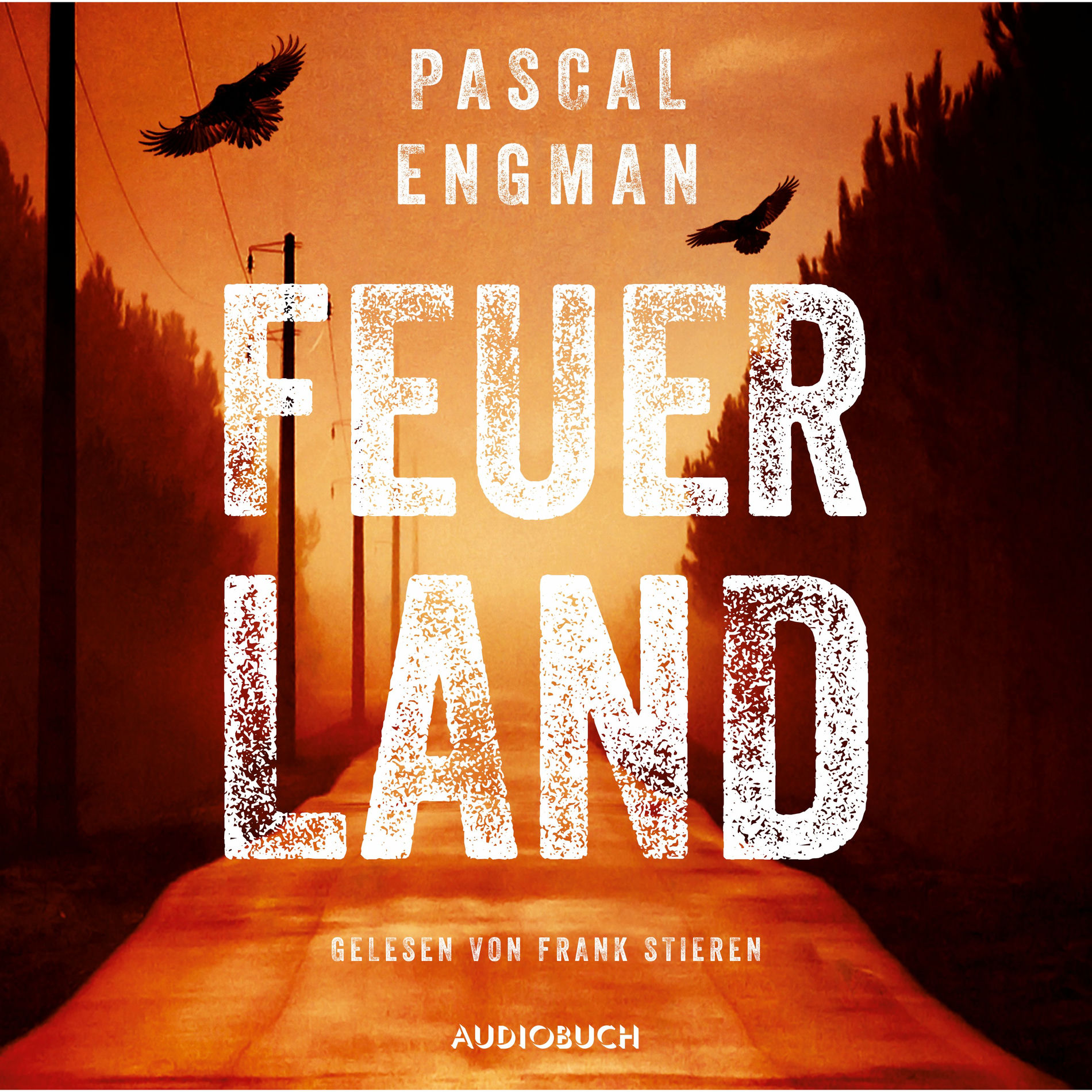 Album cover of Feuerland (ungekürzt)