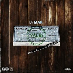 Cover of Valid