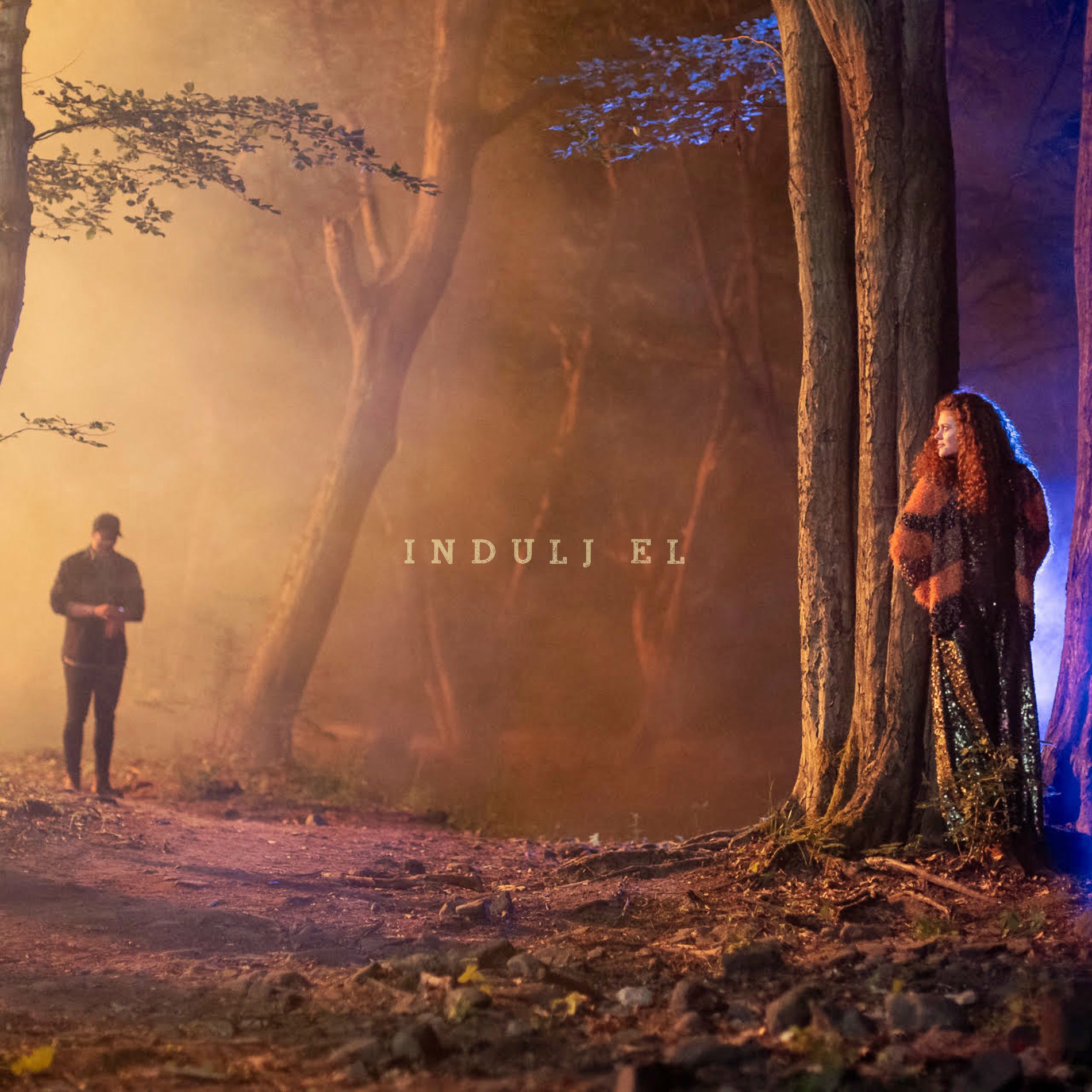 Album cover of Indulj el