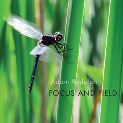 Cover of Focus and Field