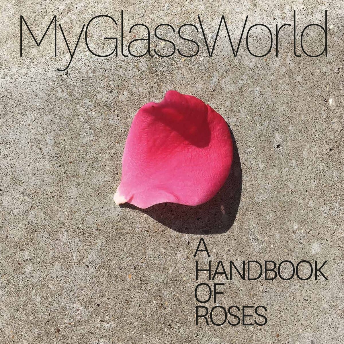 Album cover of A Handbook of Roses
