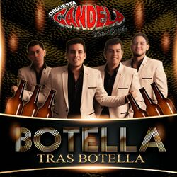 Cover of Botella Tras Botella