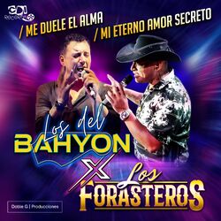 Cover of Me duele el alma - Mi eterno amor secreto