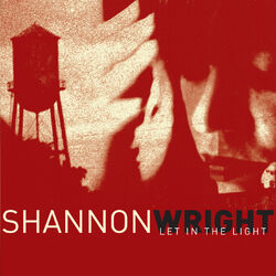 Cover of Let In The Light
