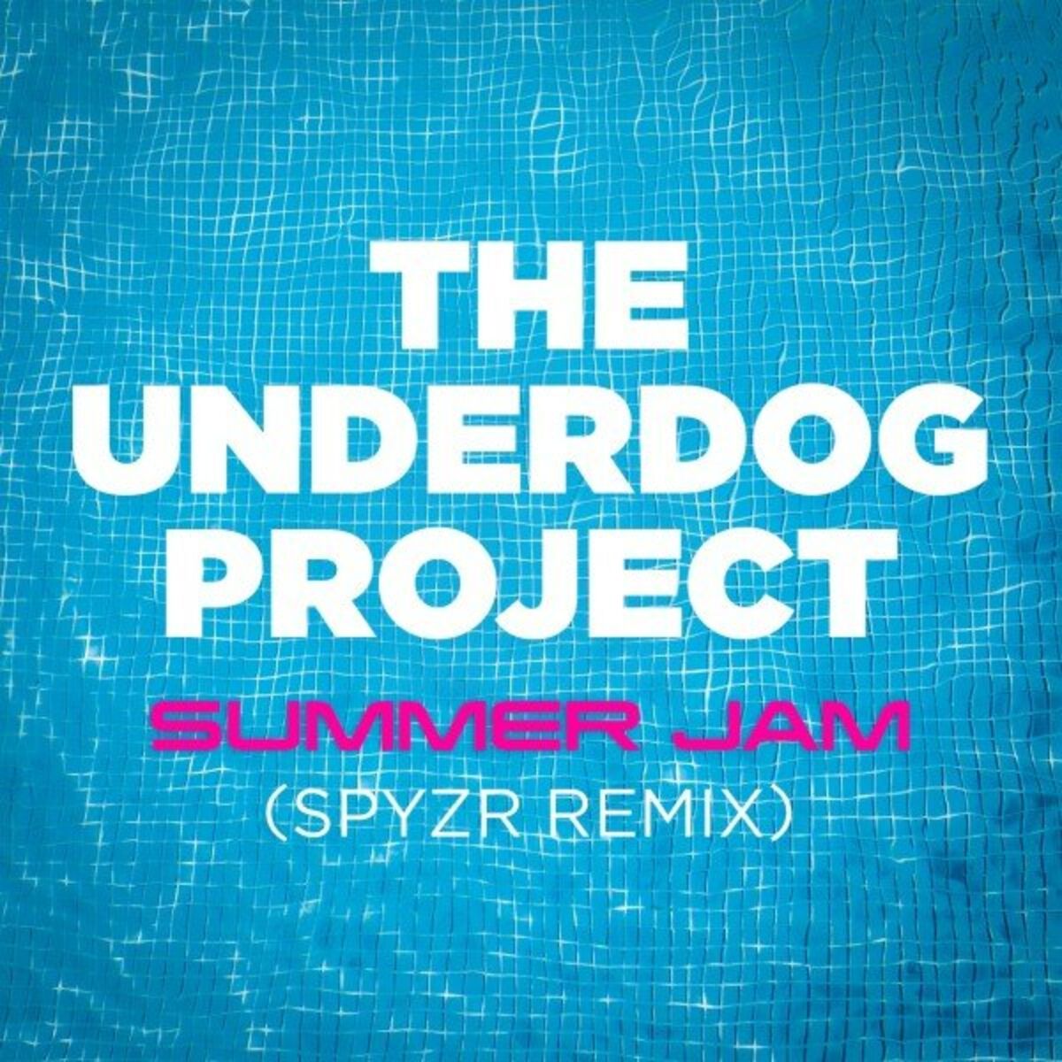 Album cover of Summer Jam (SPYZR Remix)