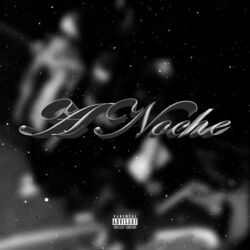 Cover of A Noche