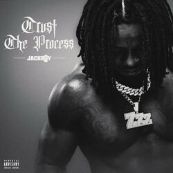 Cover of Trust The Process