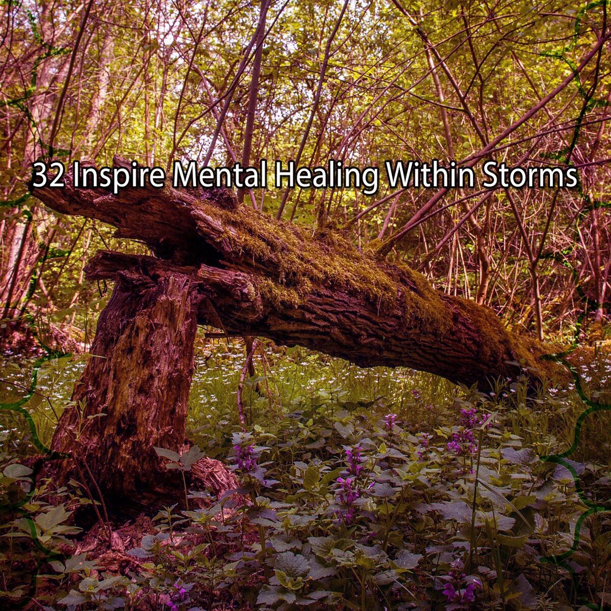 Album cover of 32 Inspire Mental Healing Within Storms