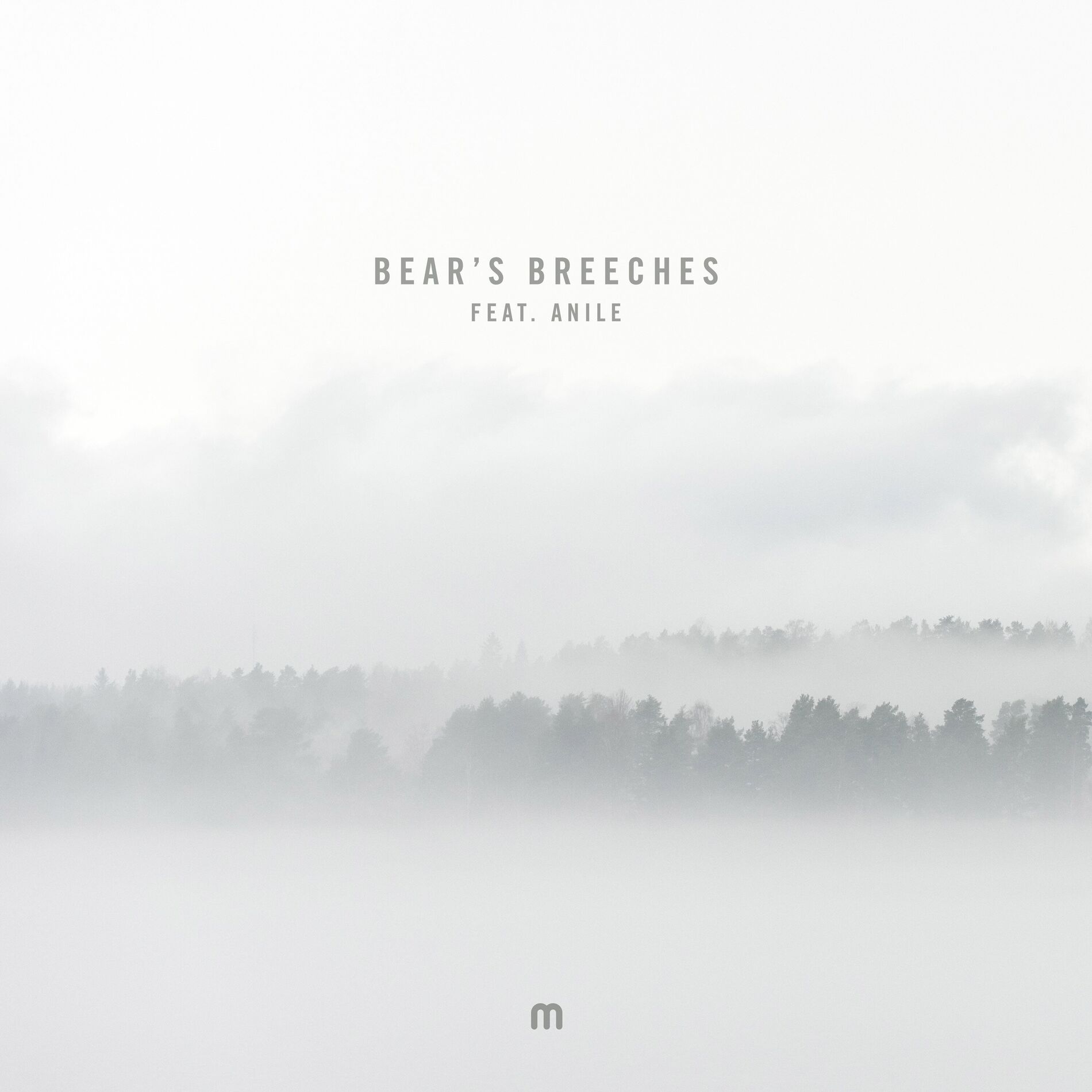 Album cover of Bear's Breeches