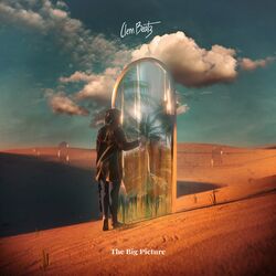 Cover of The Big Picture