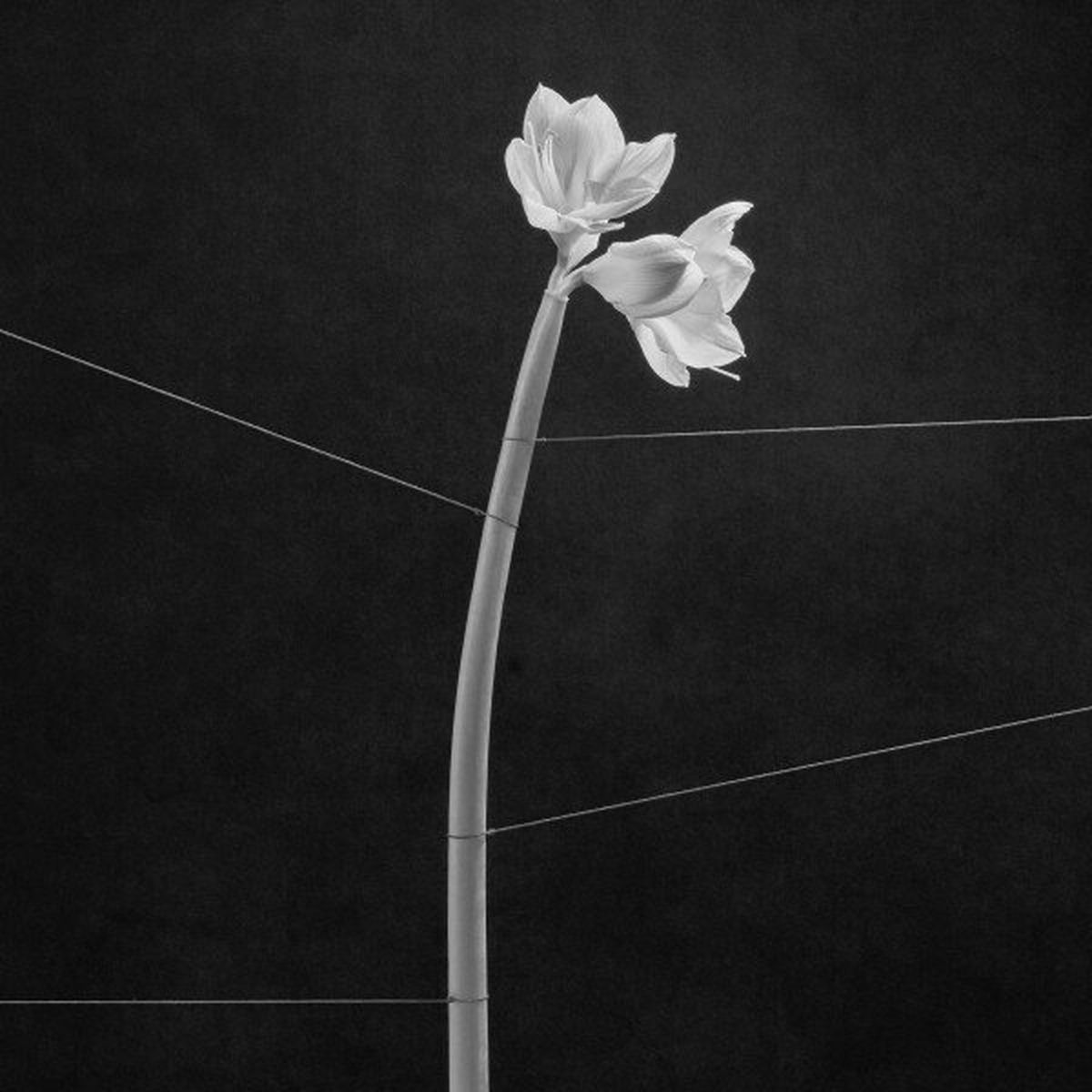 Album cover of Behind My Eyes