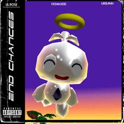 Cover of 2nd Chances