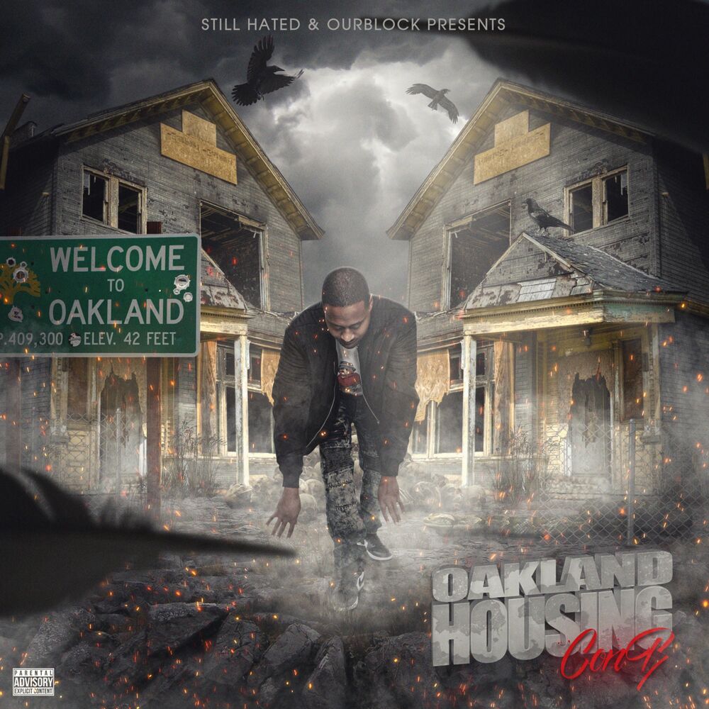 Picture of Oakland Housing