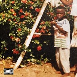 Cover of Village Boy