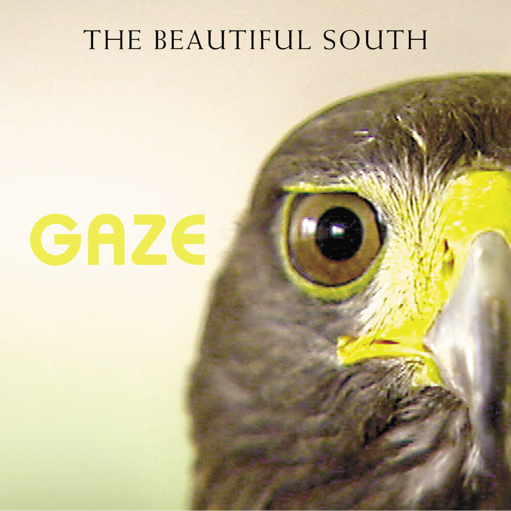 Picture of Gaze