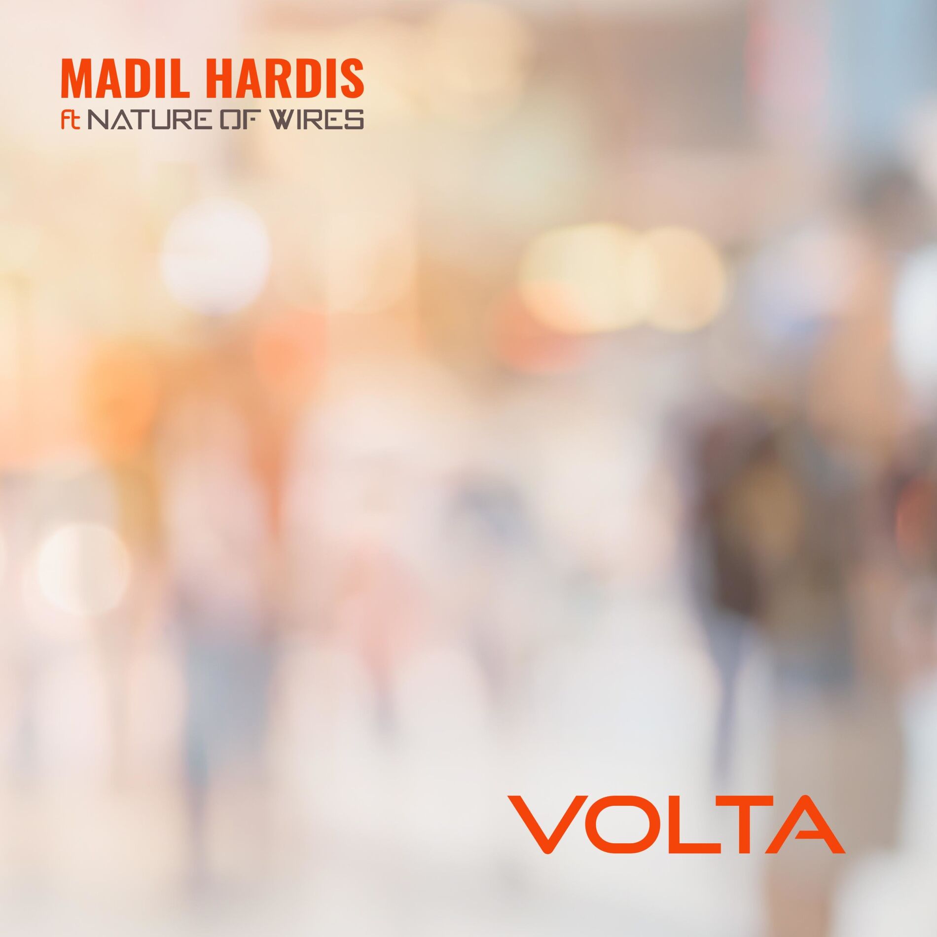 Album cover of Volta (feat. Nature of Wires)