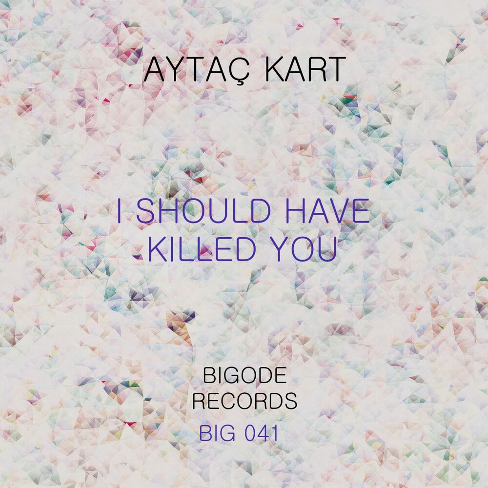 Picture of I Should Have Killed You