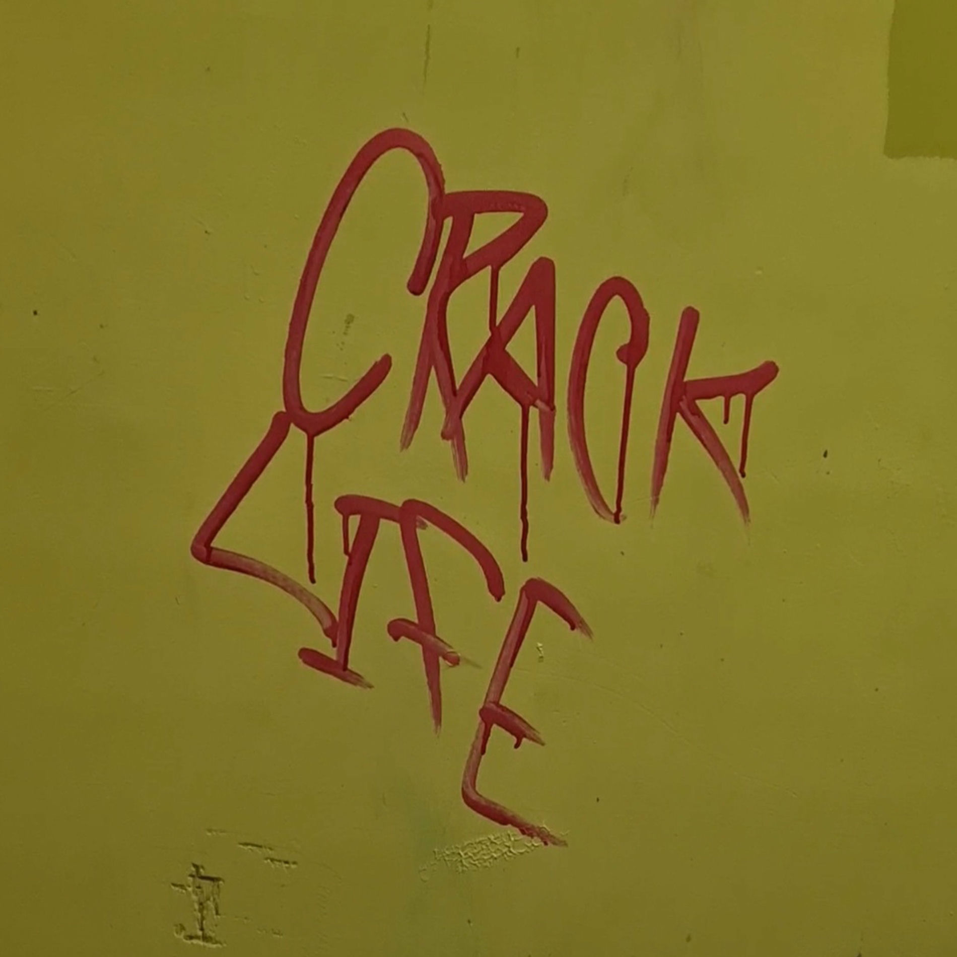 Album cover of Crack Life