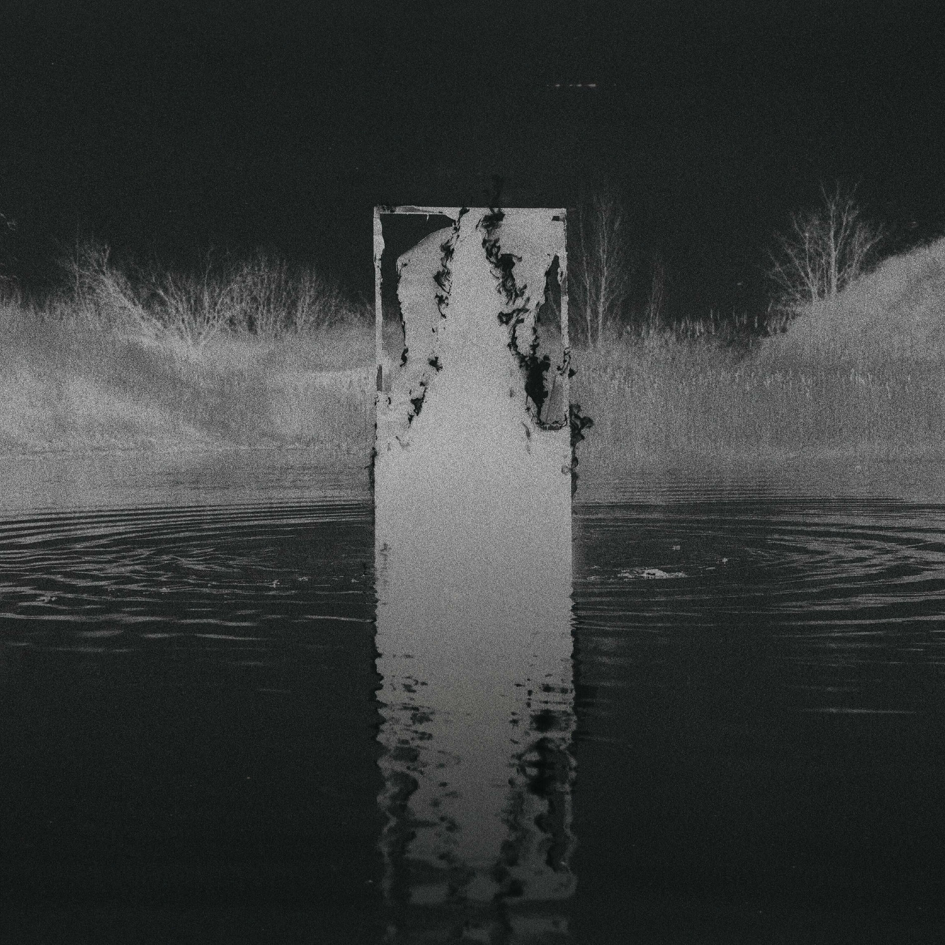 Album cover of BIAS Rework