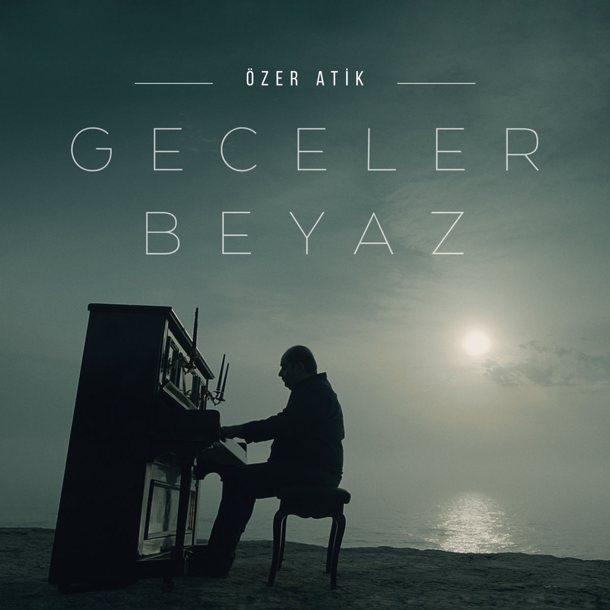 Album cover of Geceler Beyaz