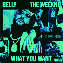 Cover of What You Want