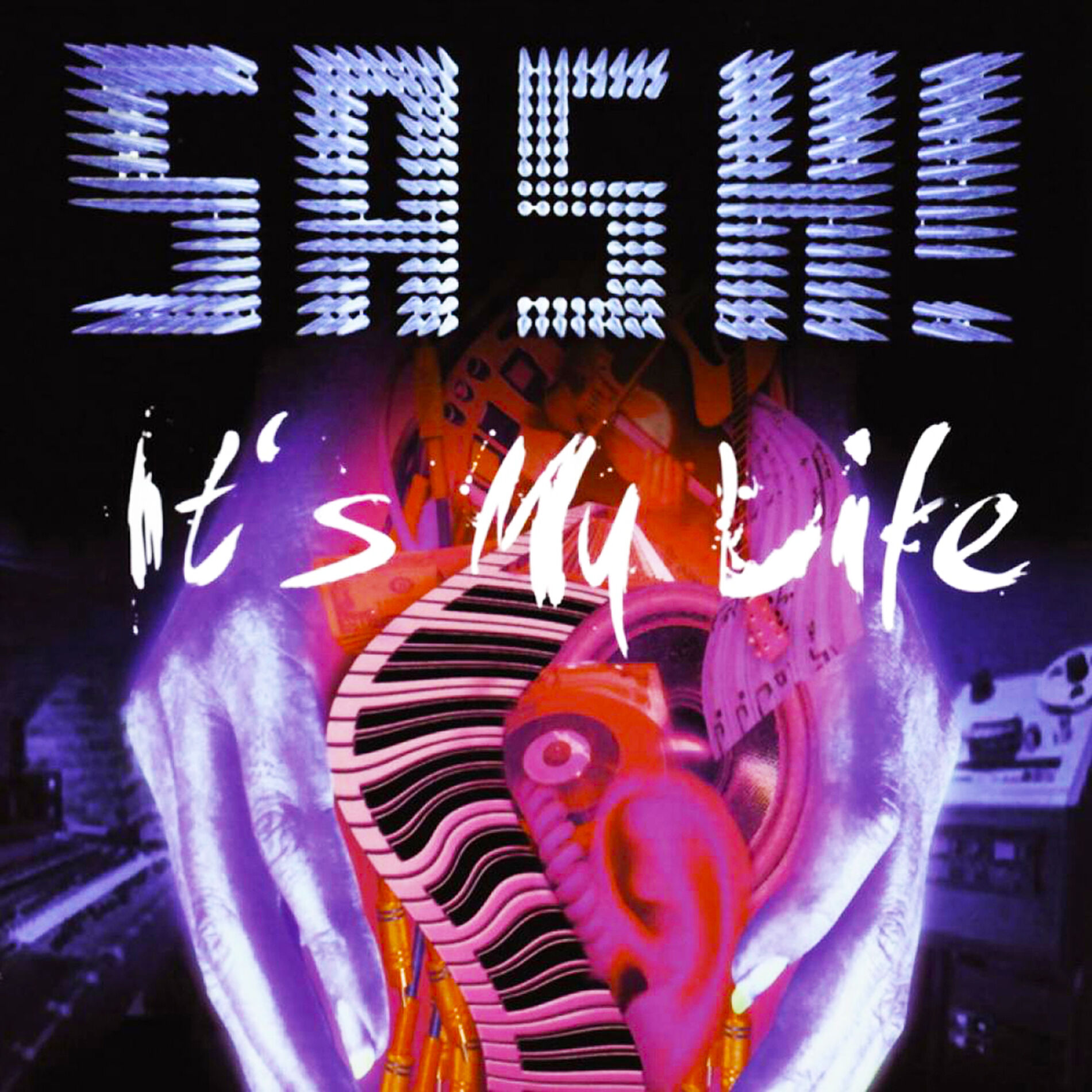 Album cover of It's My Life