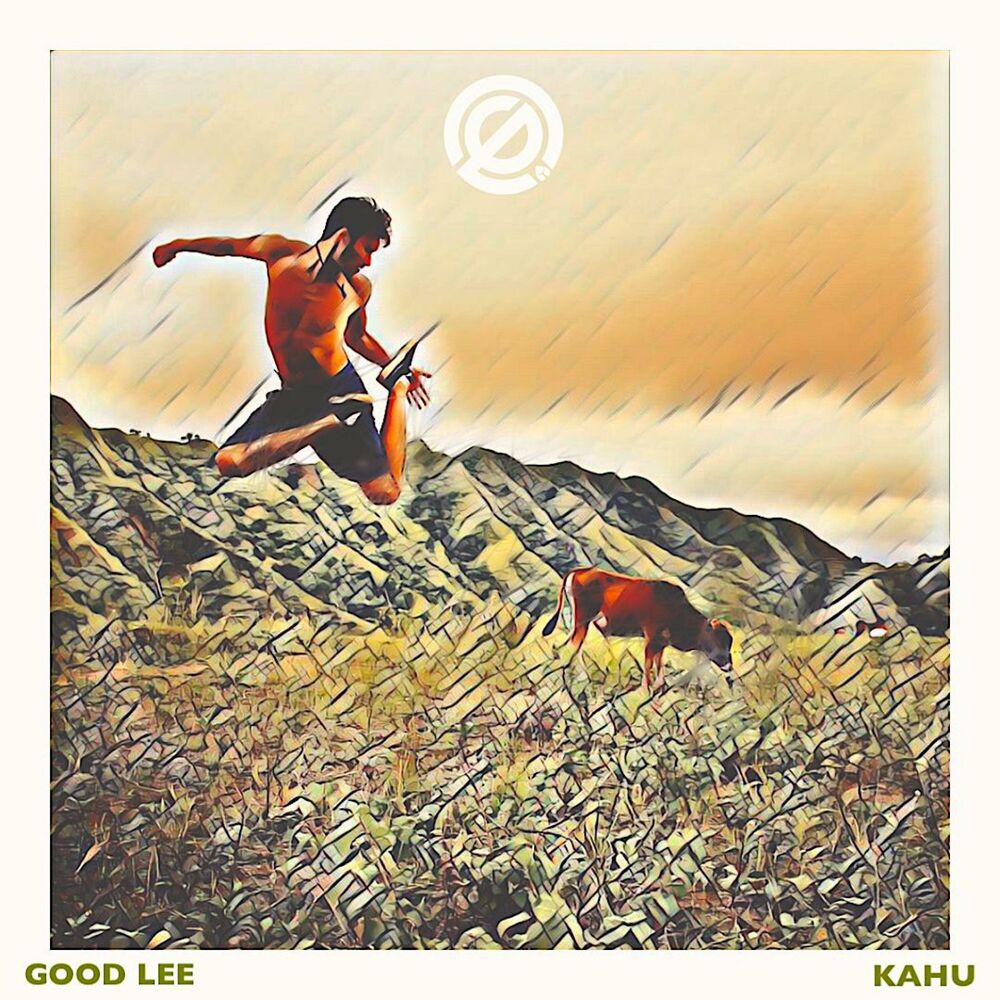 Picture of Kahu