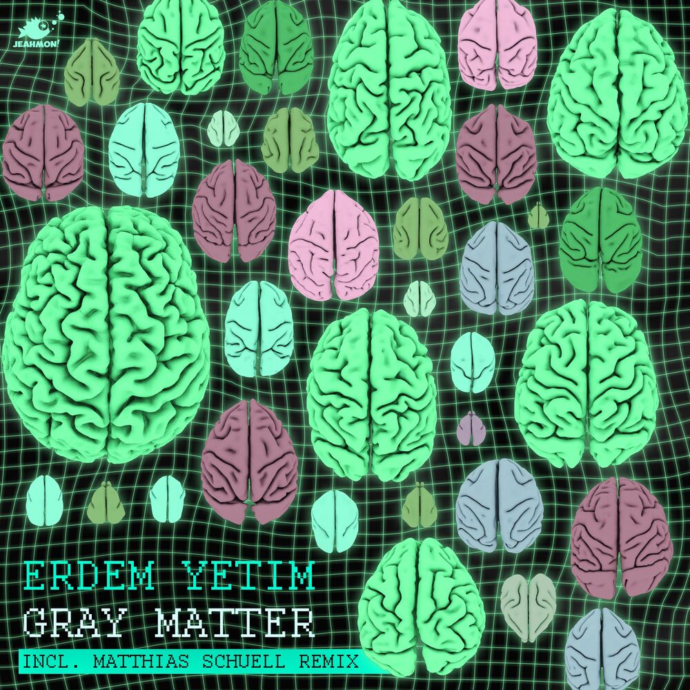 Picture of Gray Matter