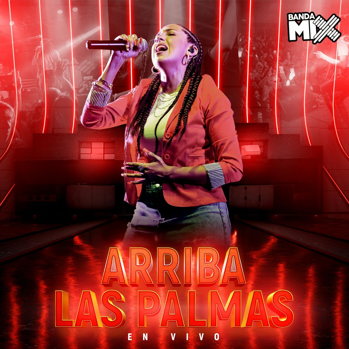 Album cover of Arriba las Palmas (En Vivo)
