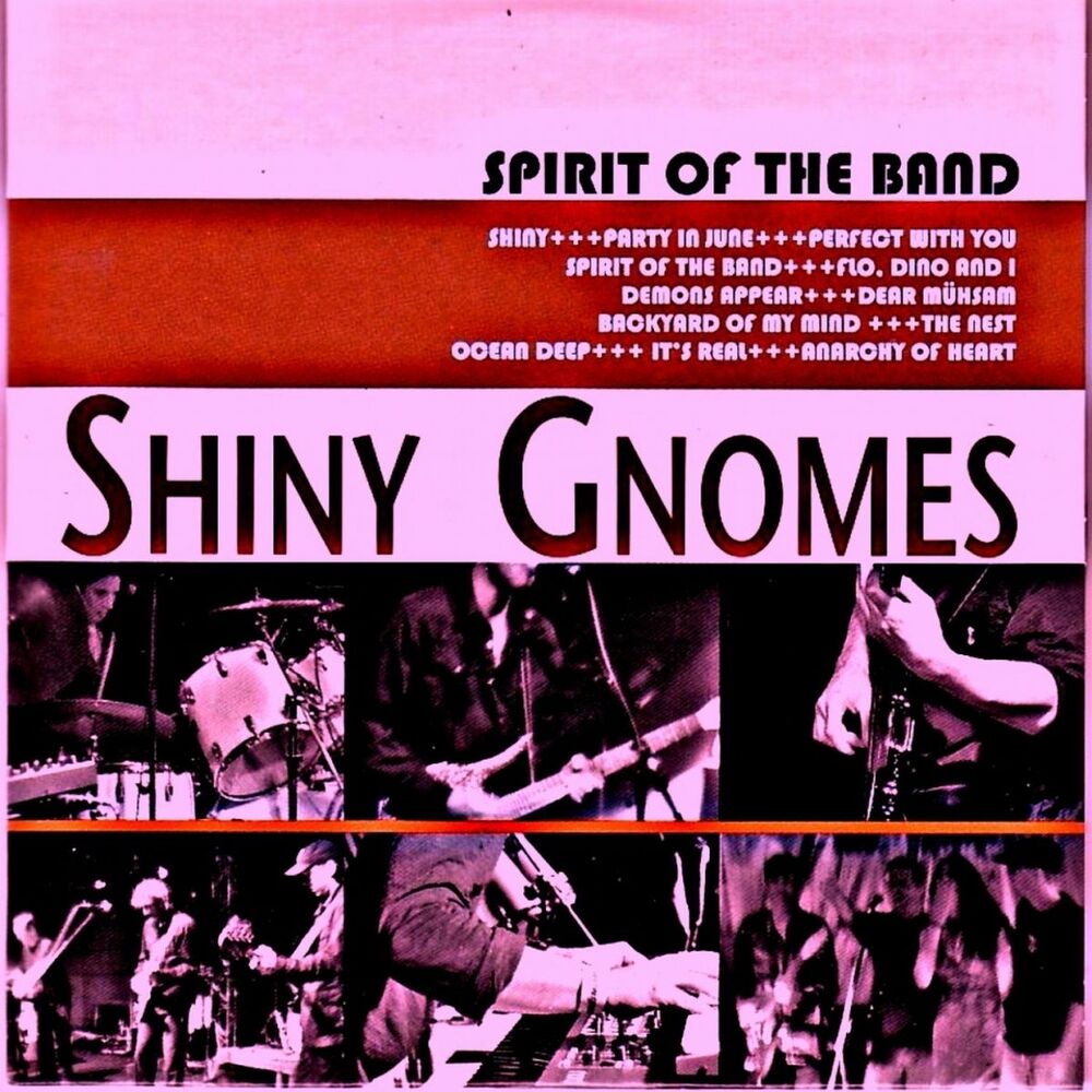 Picture of Spirit of the band