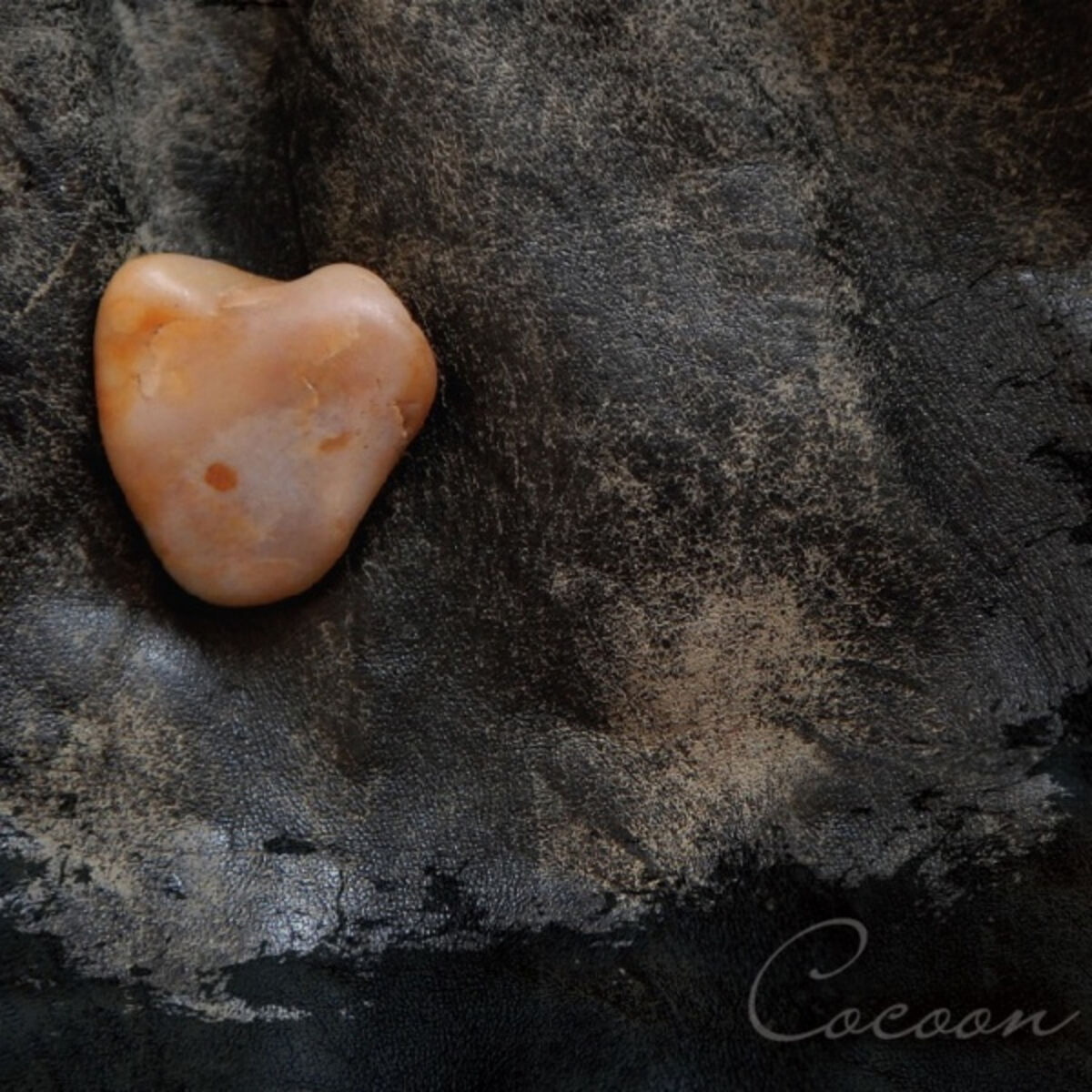 Album cover of Cocoon