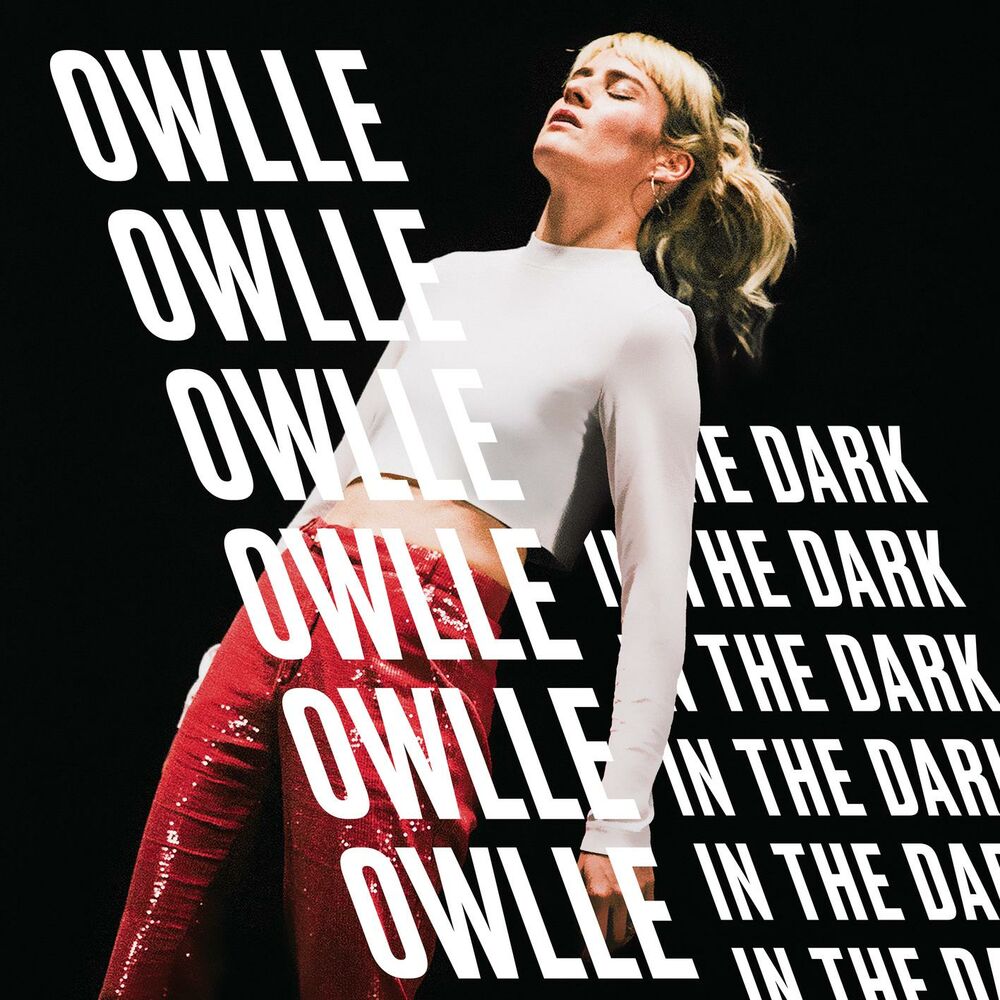 Picture of In The Dark
