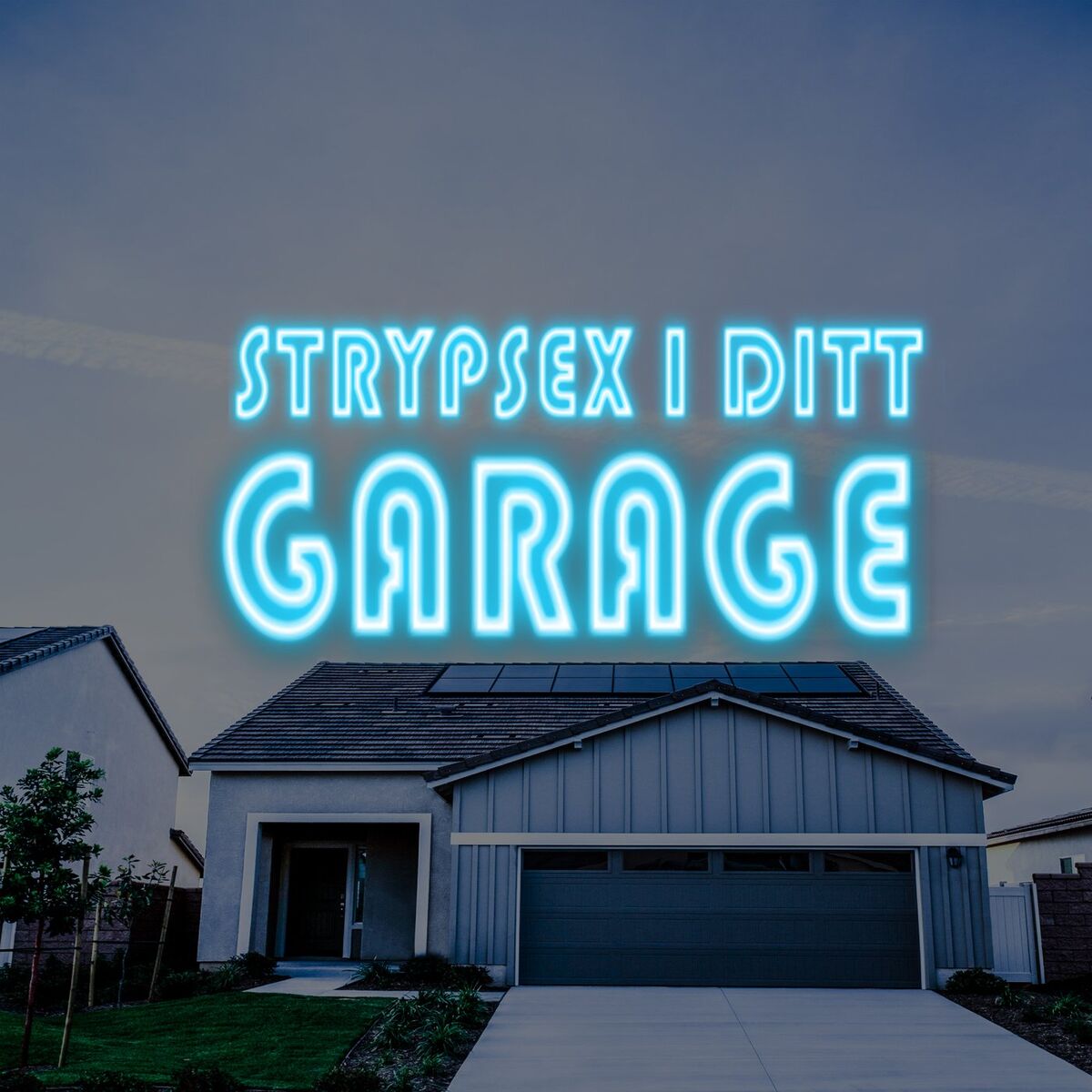 Album cover of STRYPSEX I DITT GARAGE