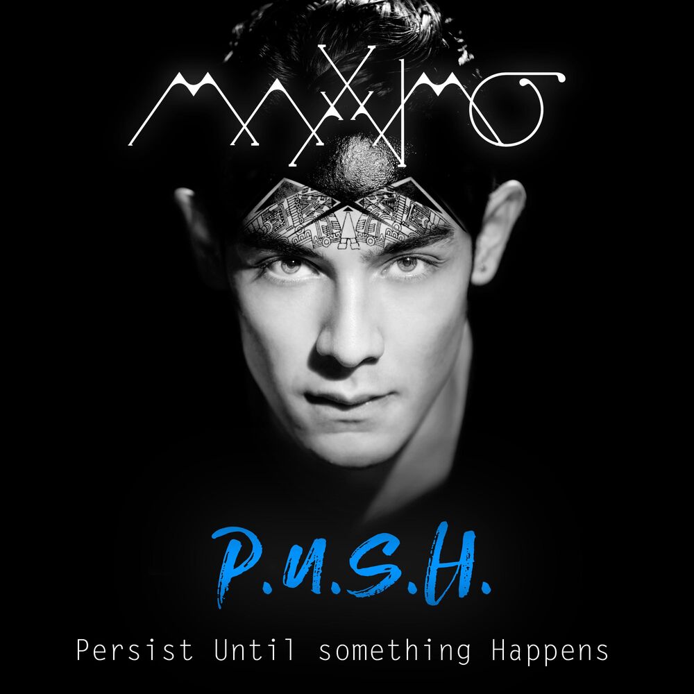 Picture of P.U.S.H. (Persist Until Something Happens)