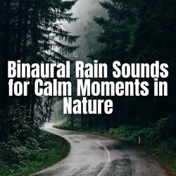 Cover of Binaural Rain Sounds for Calm Moments in Nature