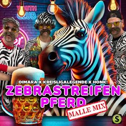 music cover