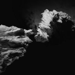 Cover of It Blooms/Then Nothing