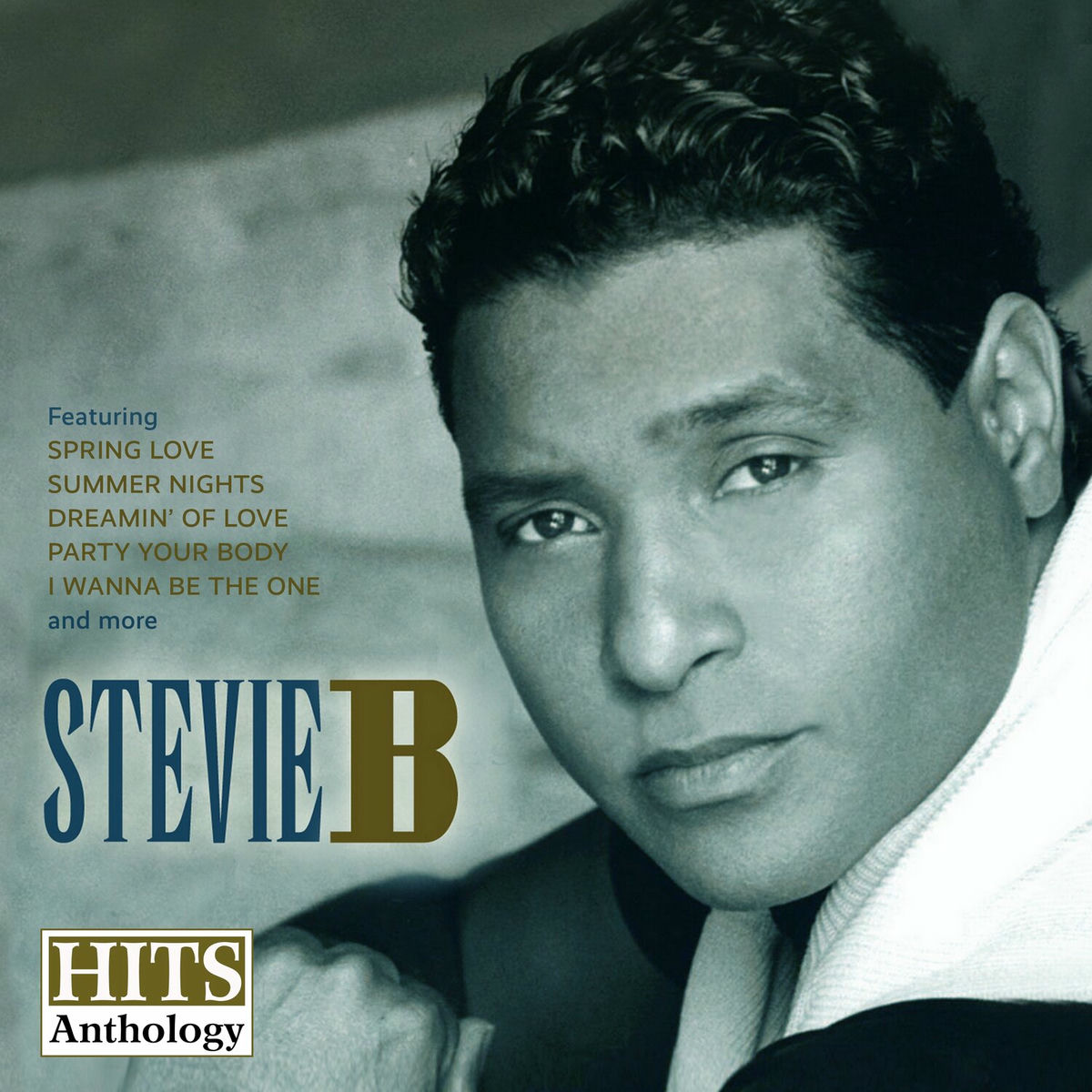 Album cover of Hits Anthology