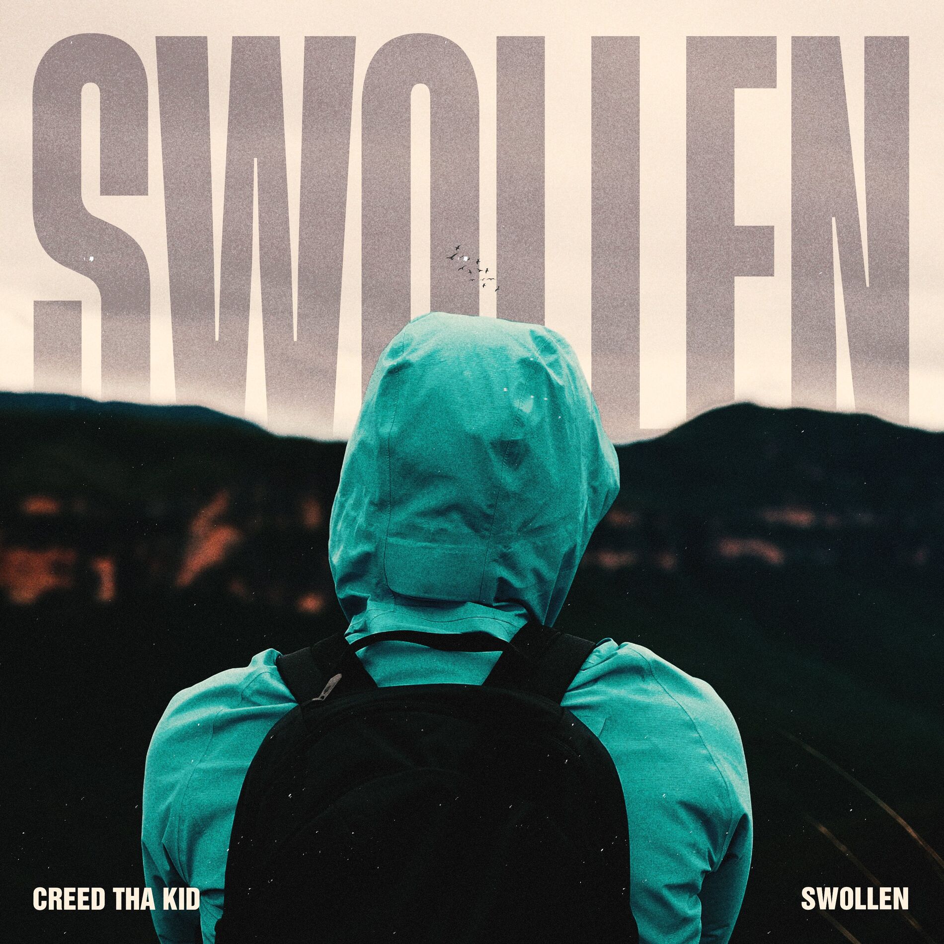 Album cover of SWOLLEN