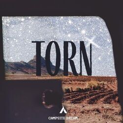 Cover of Torn